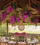 event exclusive advice (3) event exclusive advice (3)